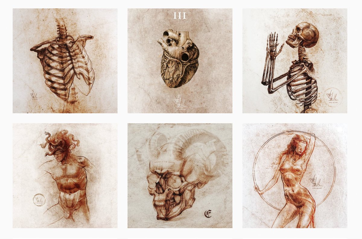 𝔈𝔳𝔞 𝔈𝔩𝔩𝔢𝔯 tweet media