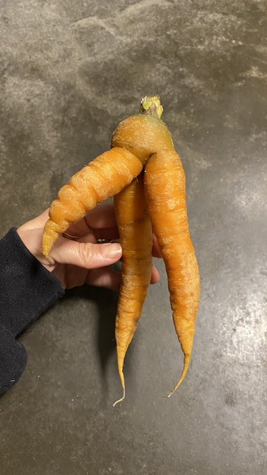 This carrot is Hung 😂🥕 #tojuiceornottojuice https://t.co/aZ6Bnmiohr<a href="/tag/tojuiceornottojuice"class="tags">#tojuiceornottojuice</a>