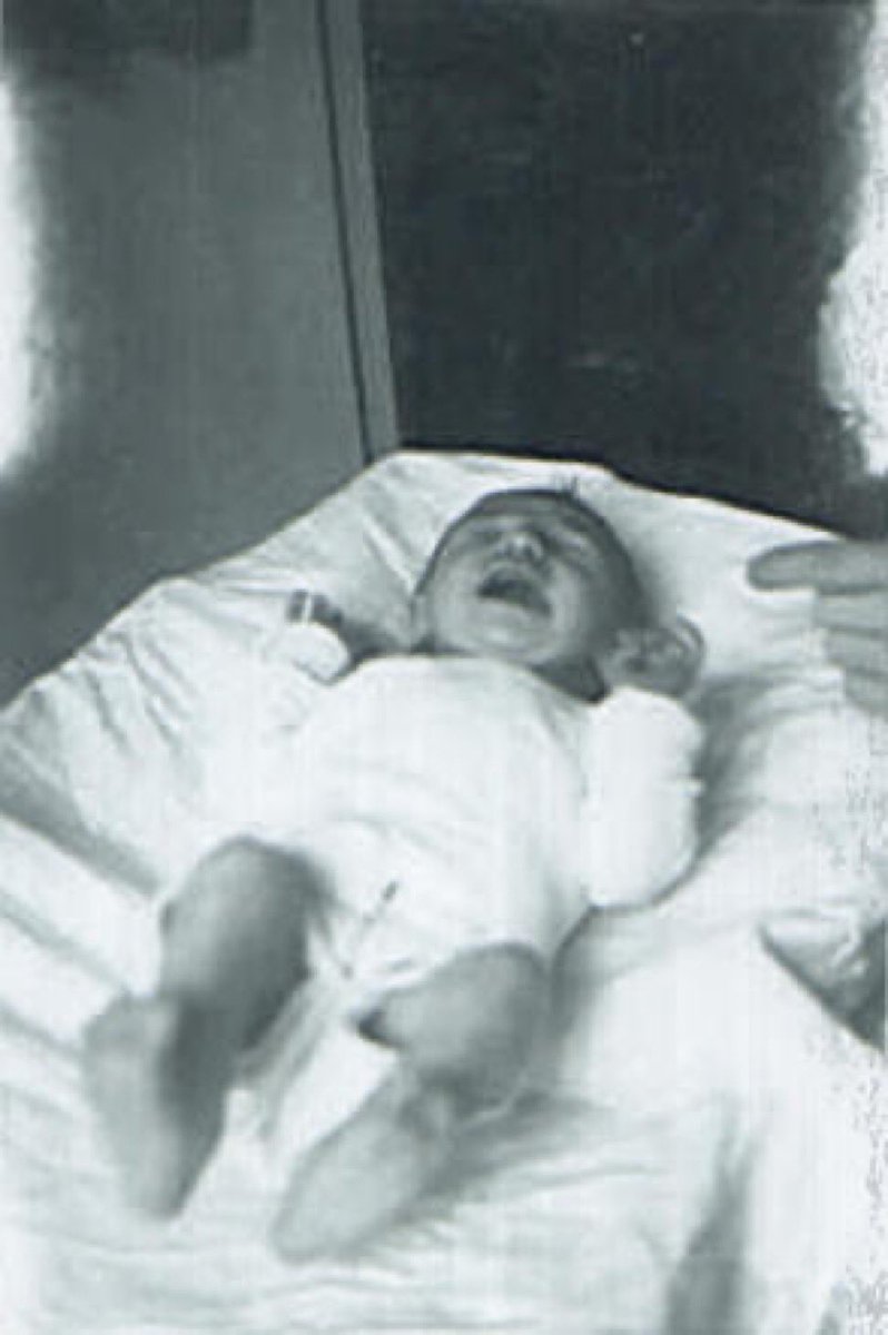 Auschwitz Memorial tweet media