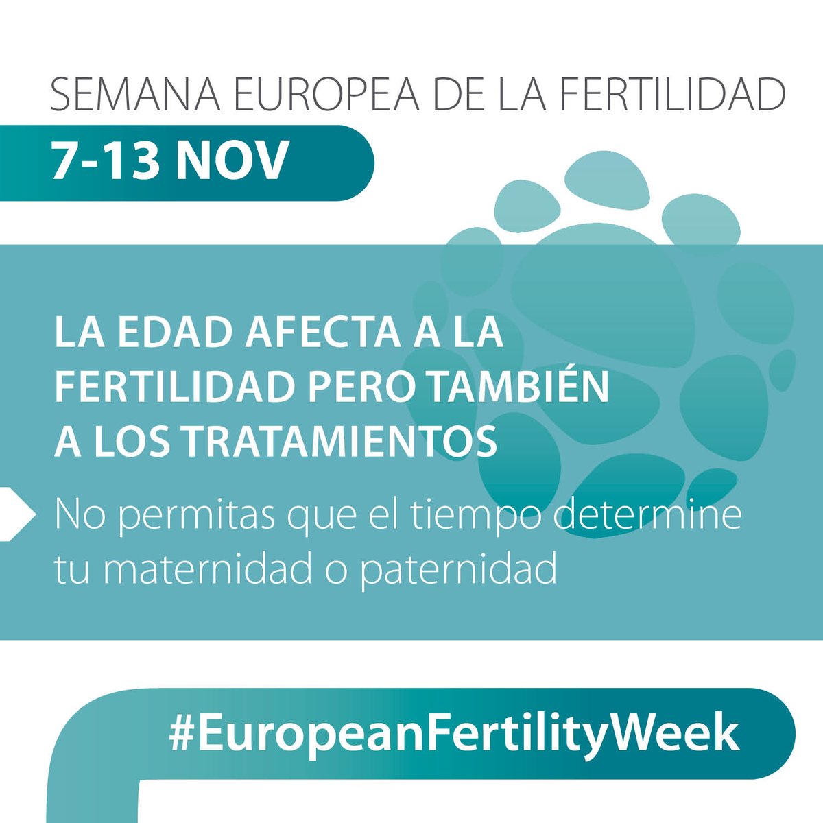 ASEBIRreprod's tweet photo. 👉A los 37 años, el 90% de los óvulos han desaparecido
👉A los 40, solo hay un 5% de probabilidad de quedar embarazada
👉La calidad del esperma disminuye con la edad.
📍Planifica maternidad o paternidad cuanto antes.
#EuropeanFertilityWeek #FórmulaASEBIR #PreservaciónFertilidad https://t.co/HttLku04Ve
