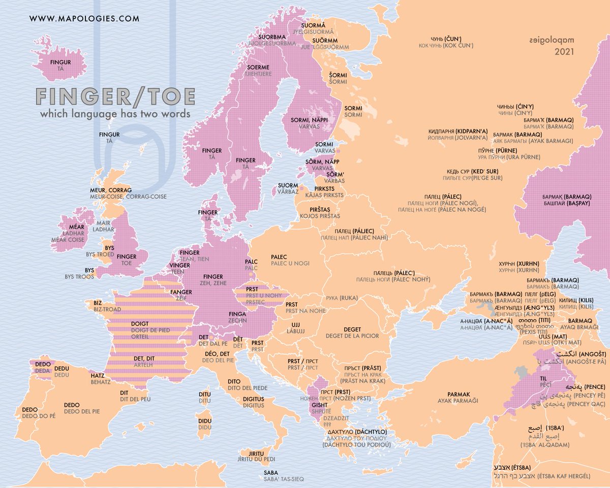 Mapologies_com's tweet photo. Does your #language have different words for finger and toe?
https://t.co/gTV8L6uotT
#toe #finger #body #lingusiticmap #map #mapologic #mapologies #dedo #doigt #prst #palec #ta #sormi #varvas #zeh #gisht #anatomy #medicine https://t.co/FI7NCkIdQE