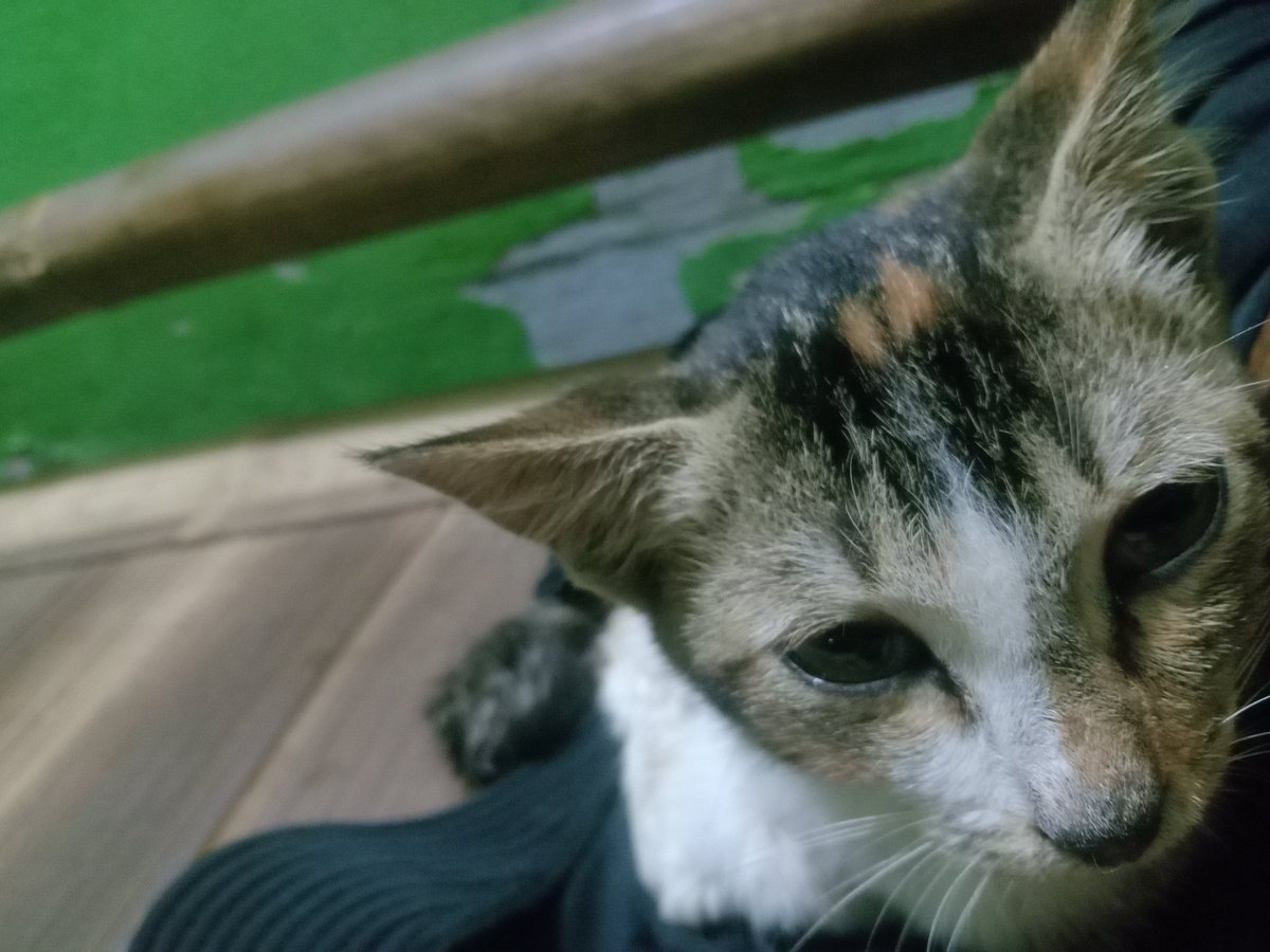 muka nya kek naha sakit, ngga kebayang aku klo jdi kamu cel, harus nahan sakit yang luar biasa