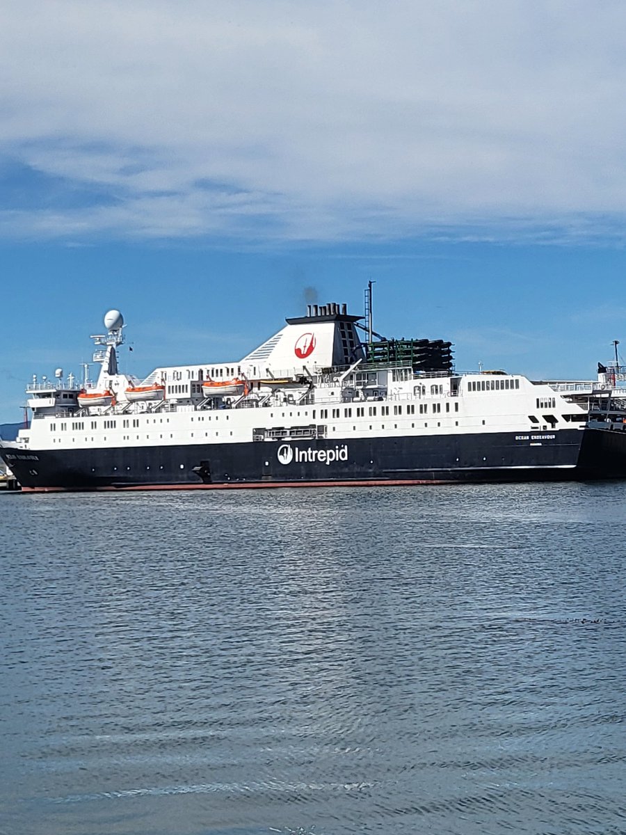 Sarah Knight tweet media