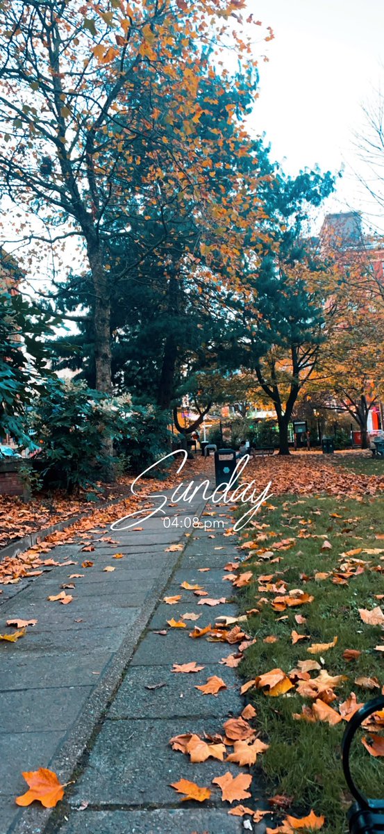 Emilycallacher (@emilycallacher) on Twitter photo 