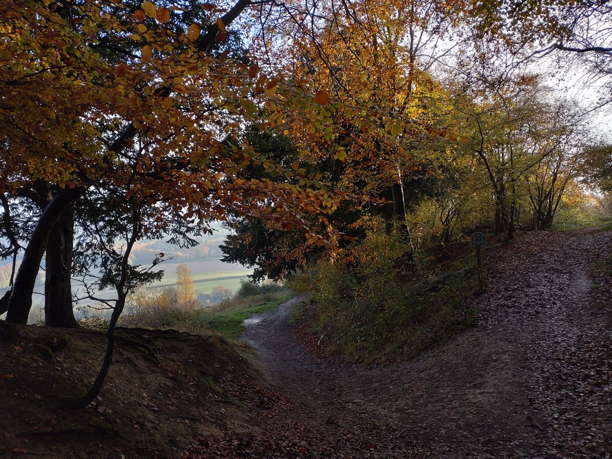 AndrewSalisbur2's tweet photo. Another afternoon #mountainbiking in the @SurreyHillsAONB #whitedown #dorking #ranmorecommon https://t.co/ZGr5WqAwIi