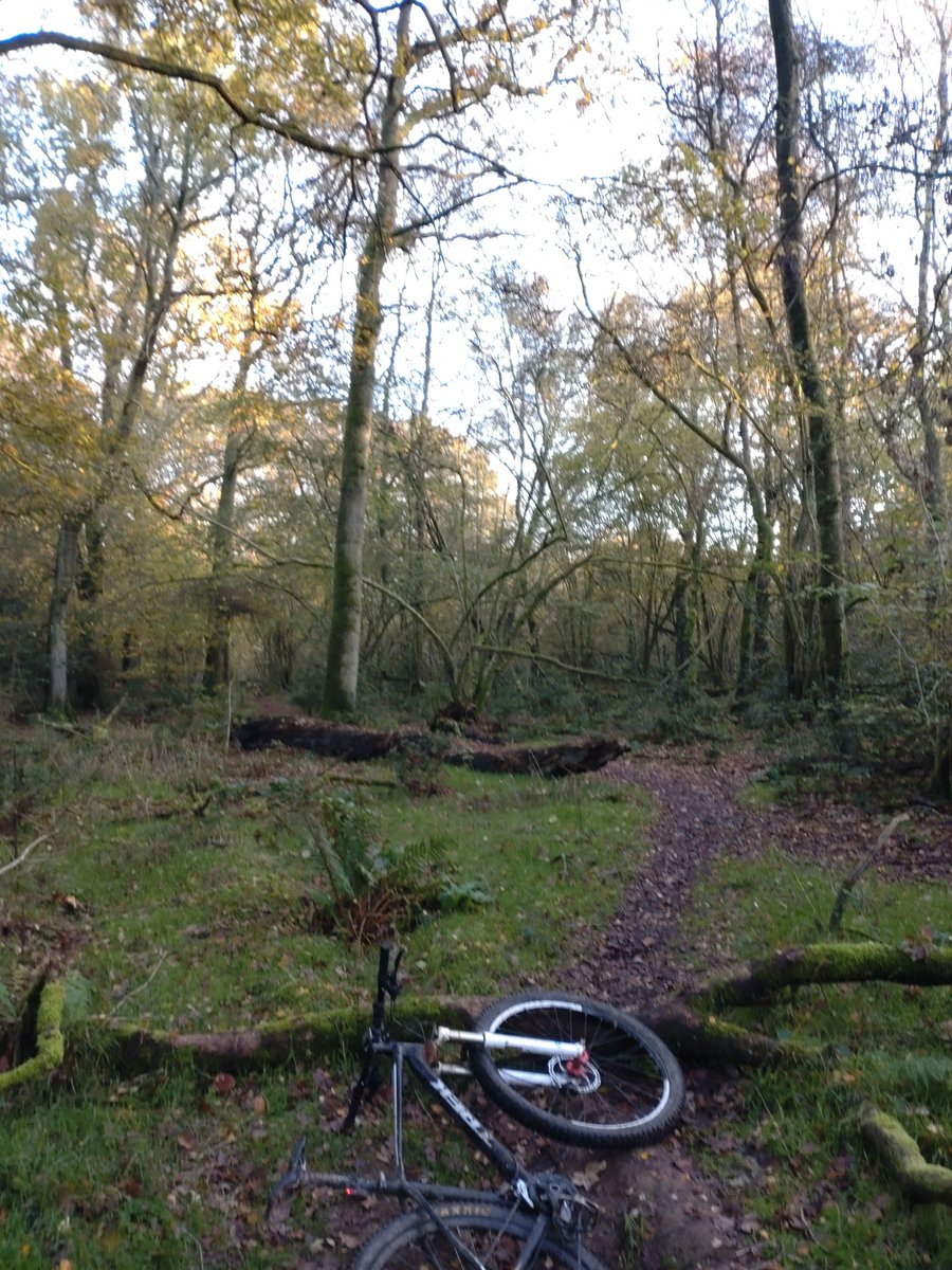 AndrewSalisbur2's tweet photo. Another afternoon #mountainbiking in the @SurreyHillsAONB #whitedown #dorking #ranmorecommon https://t.co/ZGr5WqAwIi