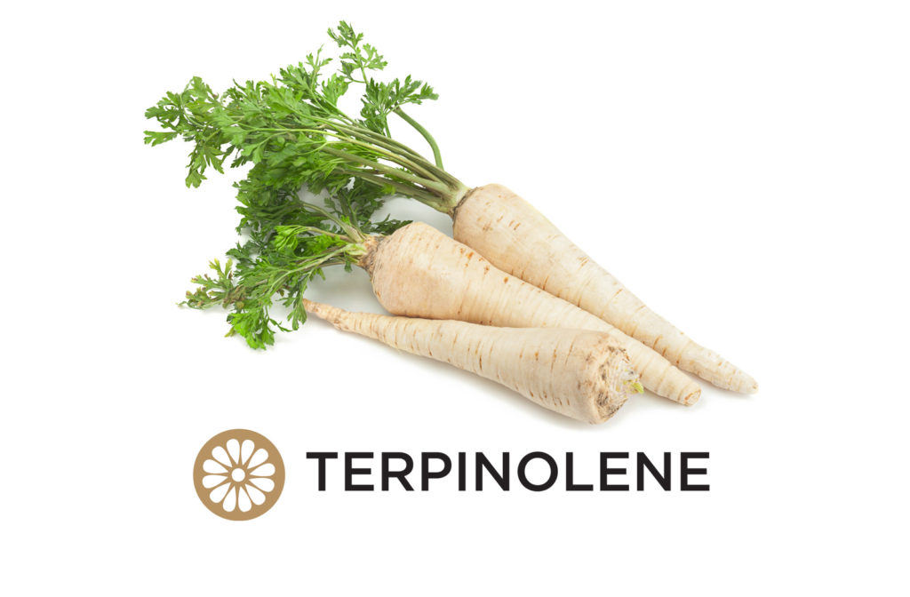 Terpinolene is a common terpene present in the cannabis plant that is recognizable for its woody aroma along with citrus and floral notes. 

Also referred to as alpha terpinolene, the terpene's effects may be mild to moderately sedative.

weedmaps.com/learn/the-plan…