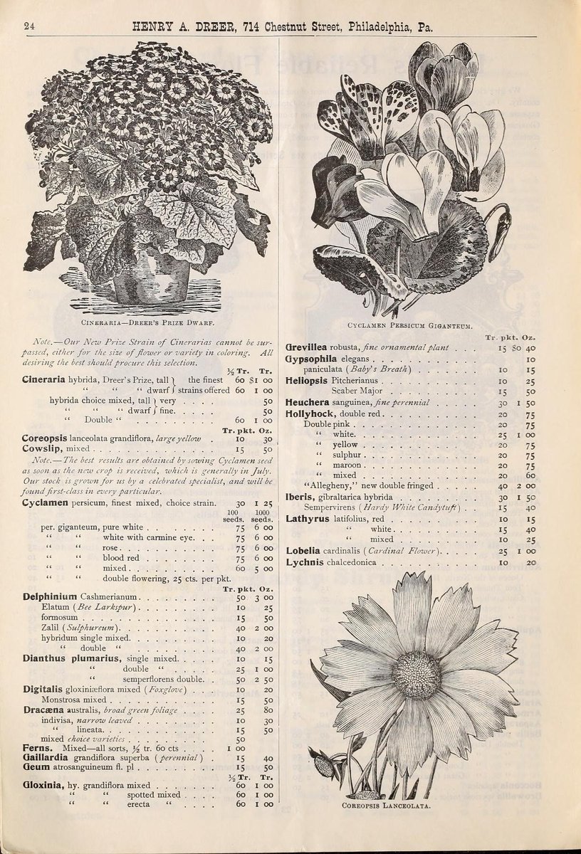 Biodiversity Illustrations tweet media