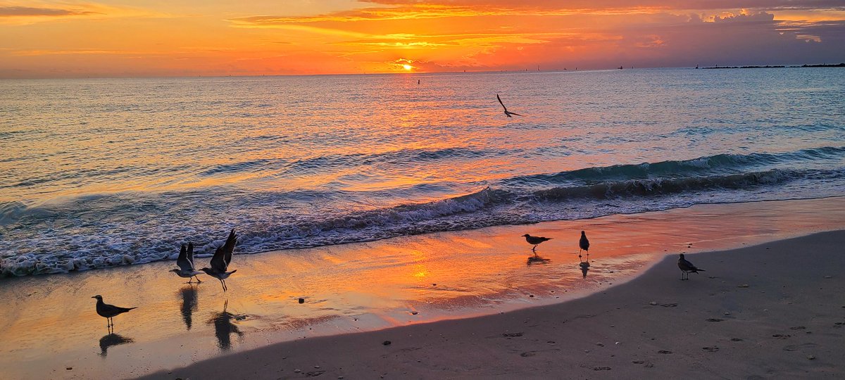 GessnerREAgent's tweet image. Exquisite sunrise this morning 
...beautiful drive to #southbeach packed house ..lots of pups and peeps  having a great time 🐾🐾🌅⛱️🌞 Enjoy your #sundayfunday #followthepinkcar #MiamiBeach #miami #seeitlikeanative