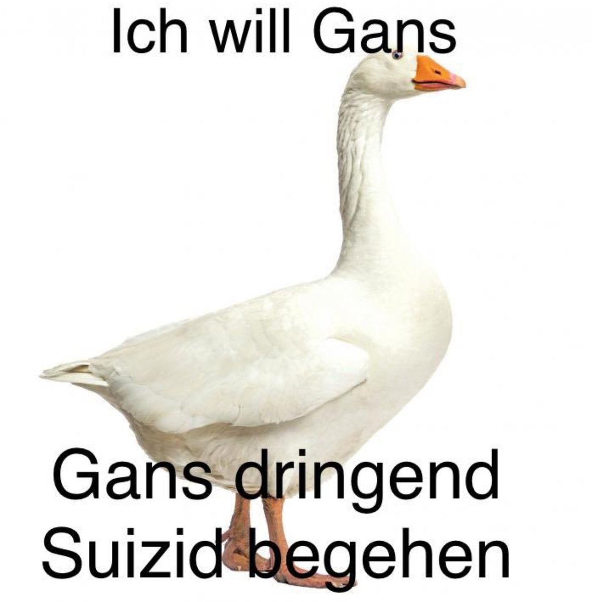 busbauen's tweet photo. https://t.co/ClL0IJYYMN