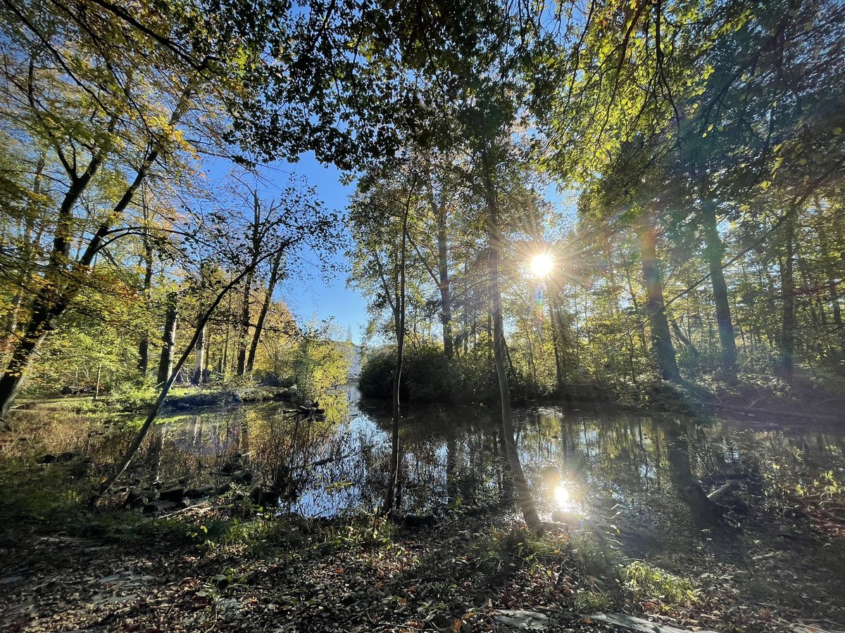 stan_lemmens's tweet photo. A walk in the park… https://t.co/um5N2OHXn5