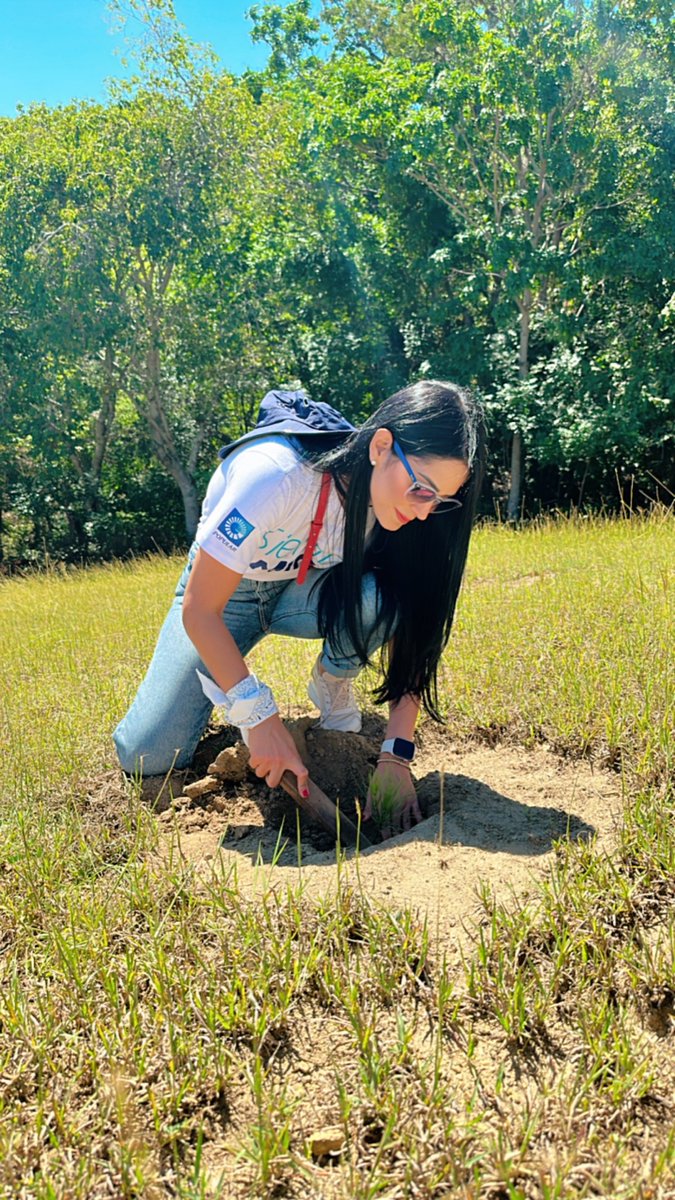 YinetteTCompres's tweet photo. Ayer, @popularenlinea cumplió la meta de UN MILLÓN de árboles sembrados. 🌳 Honrada de poder ser parte de este proyecto, que contribuye con nuestro país y el planeta y le deja a las futuras generaciones un mundo más sostenible. 
#Siembra1MillónDeÁrboles #SiembraPopular https://t.co/MWYd1Mthep