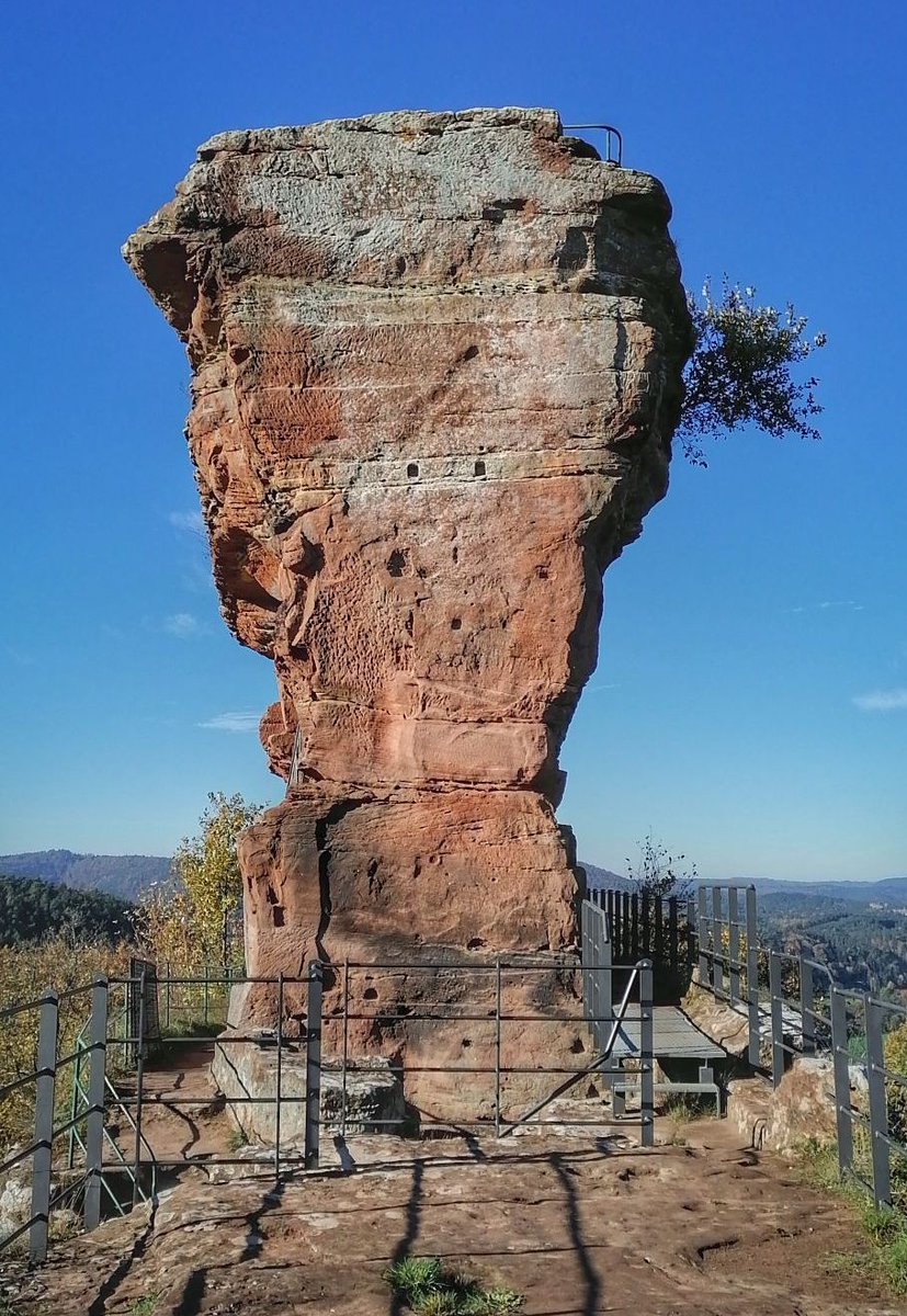DieDani_'s tweet photo. Ganz oben auf der Burg Drachenfels
#wandern #Pfalz #Pfälzerwald #Busenberg https://t.co/yvYnOjSBhQ