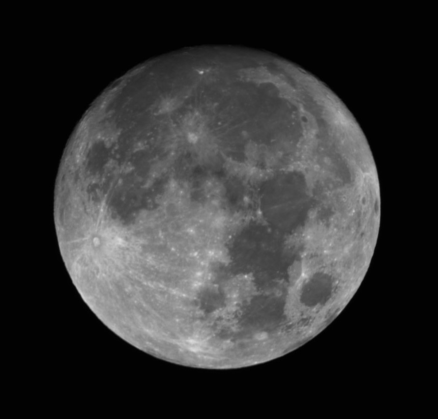 Shiloh NMP tweet media