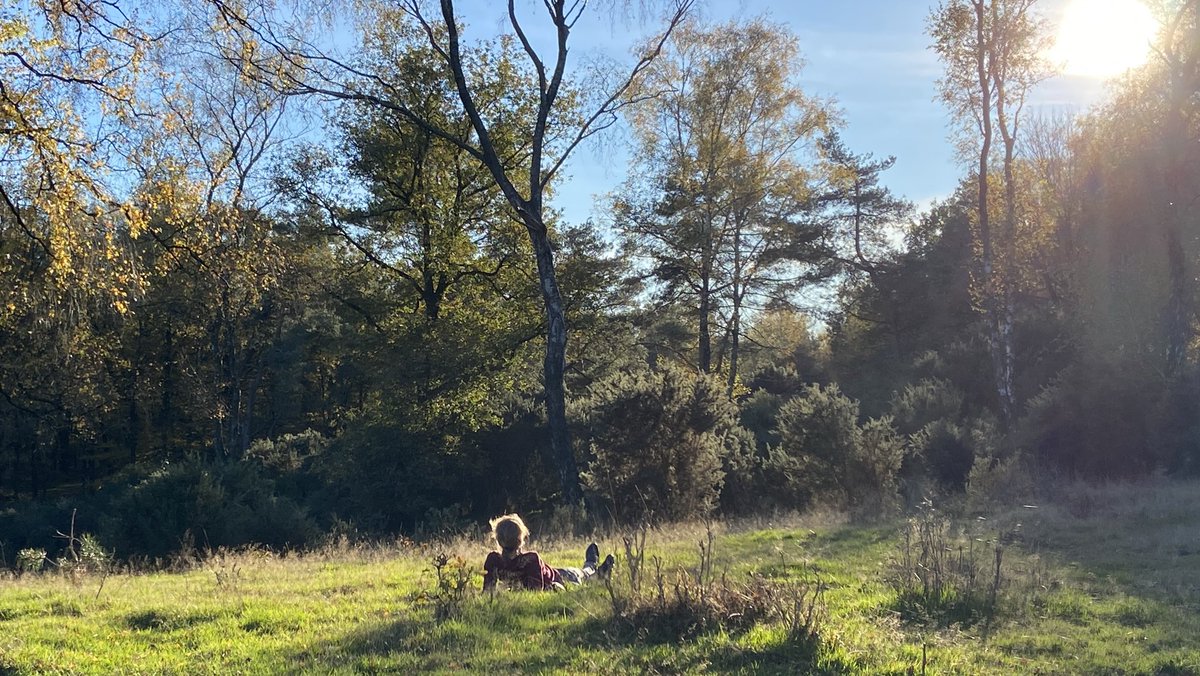 mveldhuis76's tweet photo. Heerlijke wandeling over #Stikkestrui, #Dassenberg, #Herikhuizervrld, #Klaphek op de #Veluwezoom😊🙏 https://t.co/70wimPd3UV