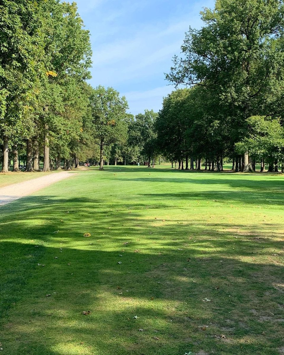 AlbertEdison99's tweet image. The greatest thing about tomorrow is that I will be better than today