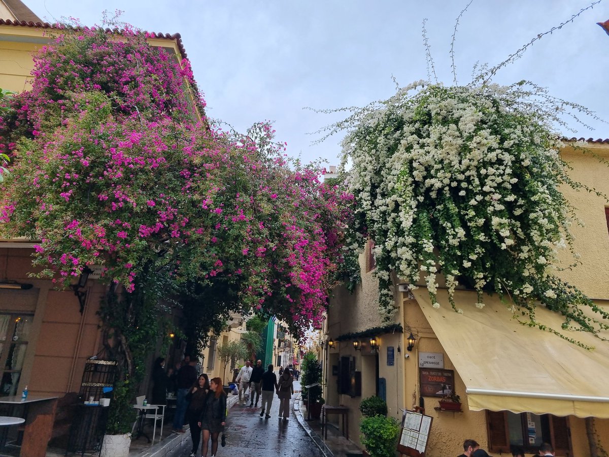 thanos🇬🇷 tweet media