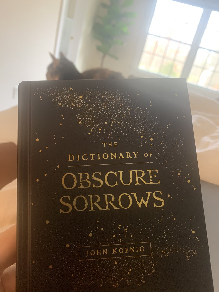 Stephen_Kellogg's tweet photo. There are, on occasion, books you just can’t imagine a single human being conceiving of and carrying out. I feel that way about #JohnKoenig “Dictionary of Obscure Sorrows” @ObscureSorrows #skbookclub 🙌🏼 https://t.co/AefeNuBcBc