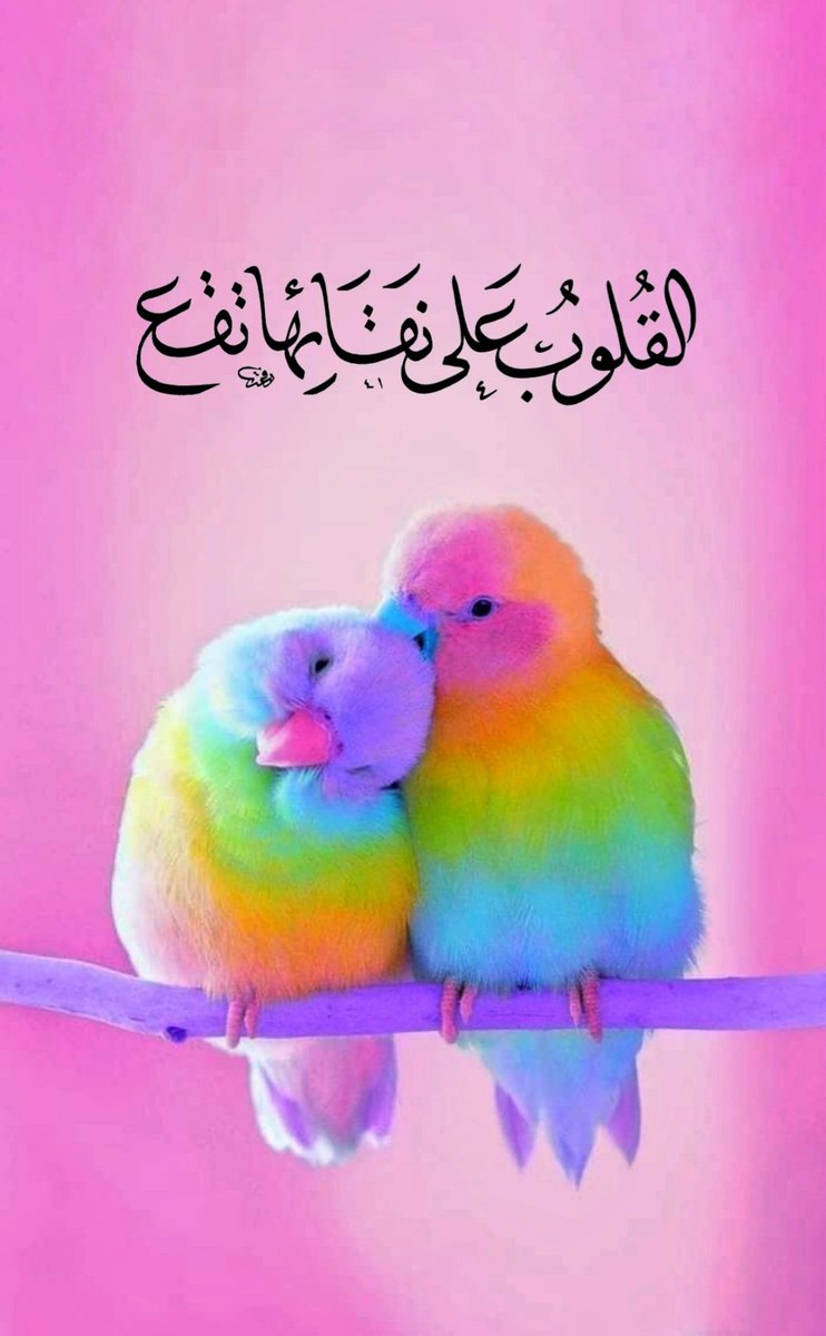 القــلـوب عــلى نقــائـها تـقــع 🤍
مـ ـشـ ـق و عـ ـشـ ـق 🤍

ــــــــــــــــــــــــــــــــــــــــــــــــــــــــ 🤍

#كتبه_رفعت_محمد_بوايزه #نمّقه_رفعت_محمد_بوايزه
#مَشَقَهُ_رفعت_محمد_المُحمّدي #رفعت_محمد_بوايزه  #مشق #عشق #الخط #الخط_العربي #كتبه_رفعت_محمد_المحمدي