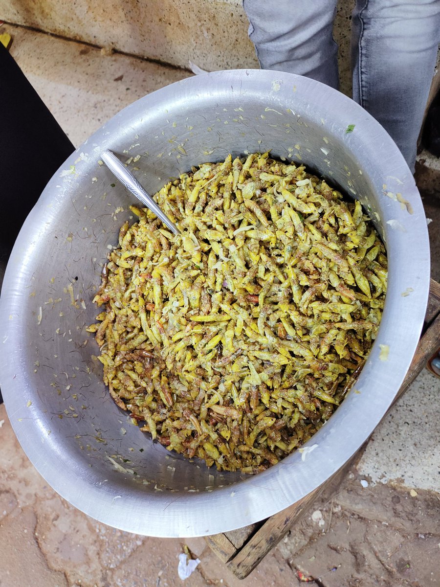 tnabusoba's tweet photo. Enjoying 'nsenene and gonja' ๐ in Kampala and sites and sounds of #UG #TembeaEA kupoa sana https://t.co/qtEs5jV0c5