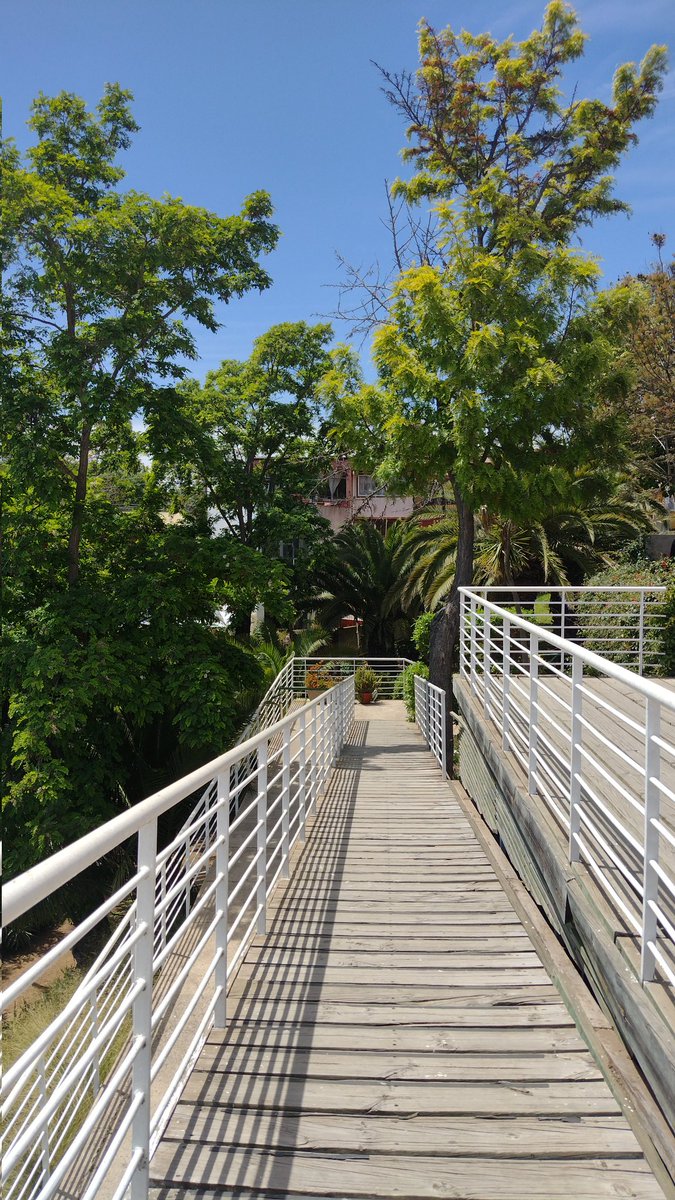 DannyUlloa's tweet photo. Desde la terraza de la casa la Sebastiana un colorido Valparaíso y sus jardines @apuntesyviajes #misvecinos https://t.co/b90lR5fDQ5