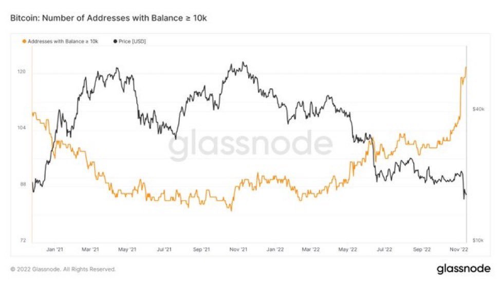 eltronadito's tweet photo. @NFTDEFILAND Las ballenas estan comprando bitcoin como nunca antes... #Bitcoin https://t.co/LEIEDEkA4A