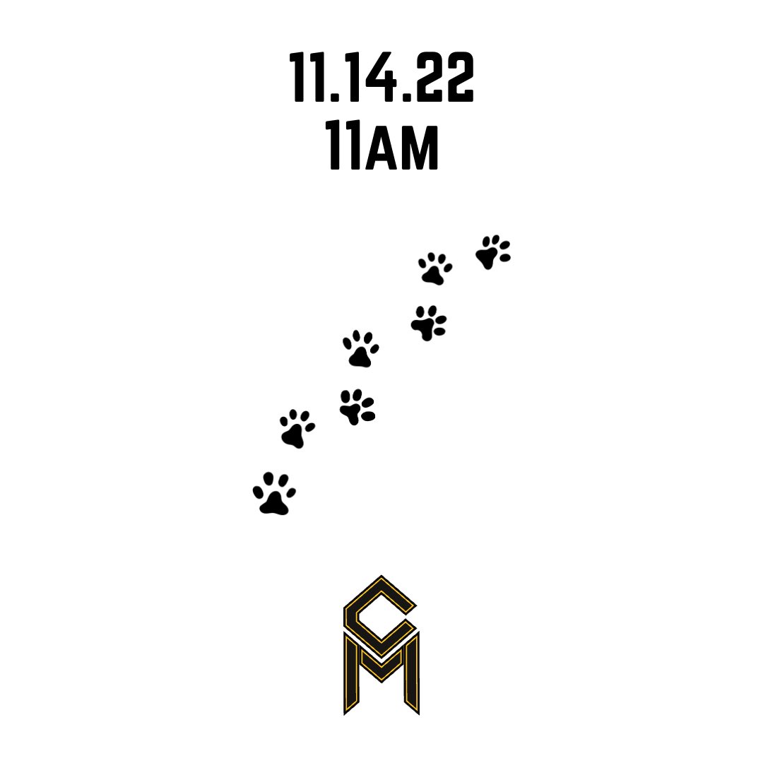 CMcAvoy44's tweet photo. 🐾🚀 https://t.co/Fg76or4adH