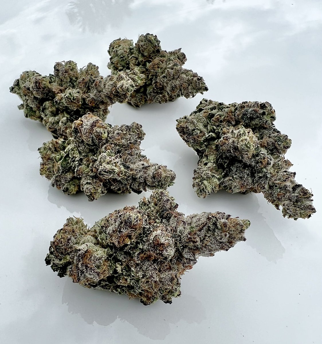 exoticgenetix's tweet photo. Football Sunday #giveaway baby! This round will be for a pack of Twizzle Dance from https://t.co/5WijyxTR5F!

🚨Rules… 
• Follow @exoticgenetix 
• Like + Retweet
• Tag 3 friends 

🎉 I’ll announce a winner in 24 hours! Good luck!🤙🏼#exoticgenetix #itsalifestyle https://t.co/pf7mfAz0SF