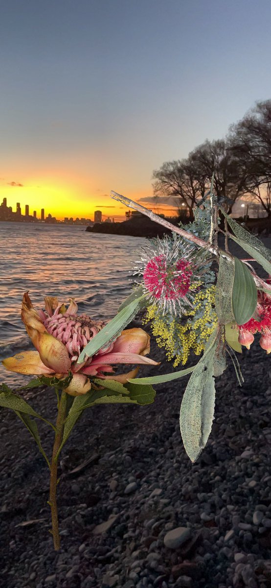 Planting #seedsystems with Alison Bennett and <a href="/STYLY_APP/">STYLY Global</a>
