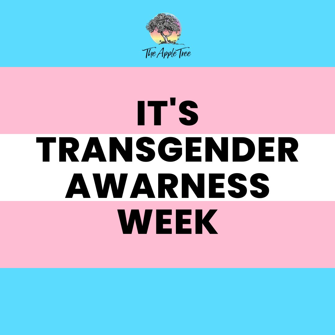 Today is the beginning of Transgender Awarness Week, this week memorializes victims of transphobic violence. 💙💗❤️