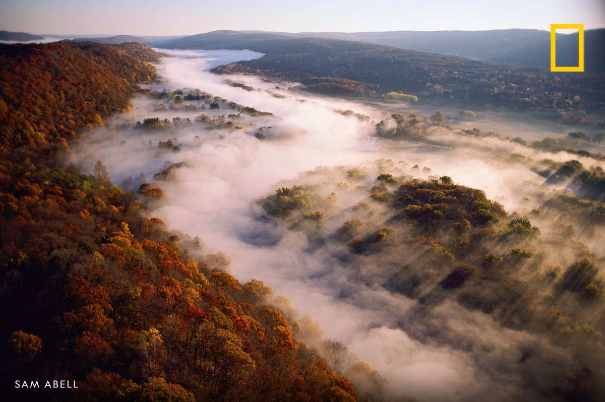 National Geographic tweet media