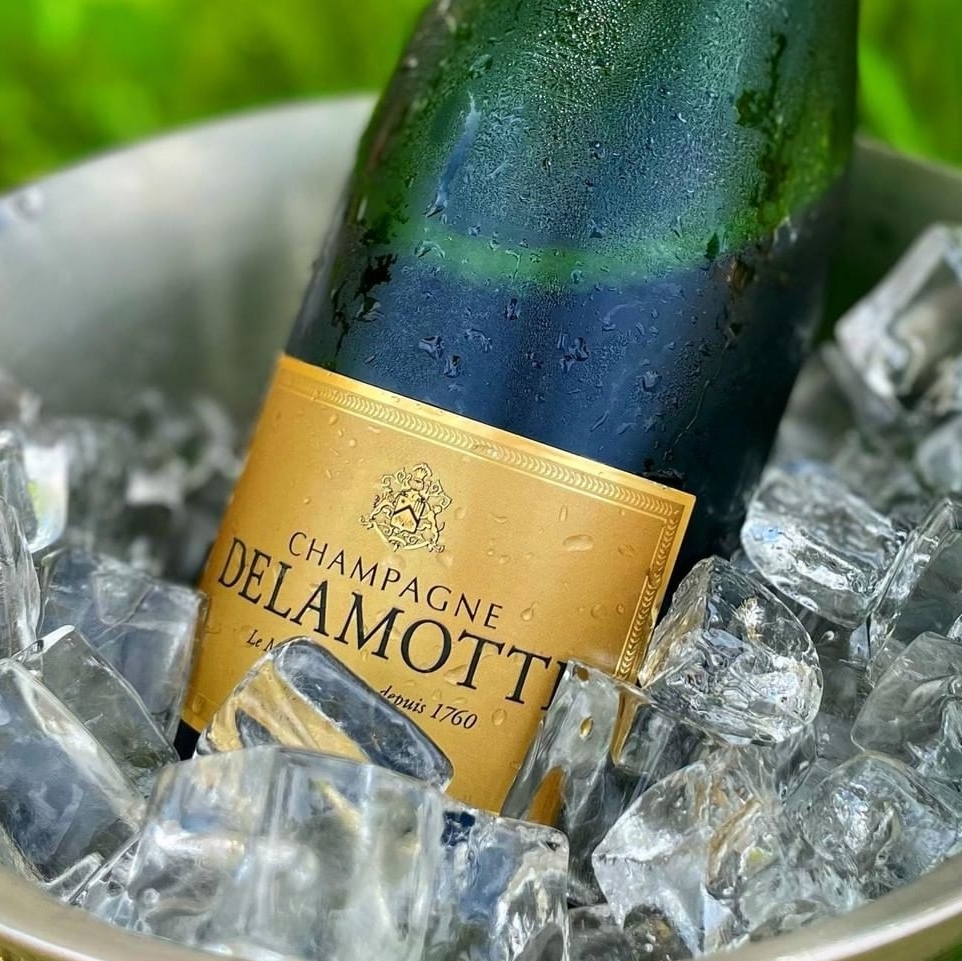 Sunday Sipper: Time to Light Up the Night!  | 94-point Delamotte BdB 2014

Shop now: bit.ly/3UqbP2p
#BWG #benchmarkwine #champagne #delamotte #delamottechampagne
