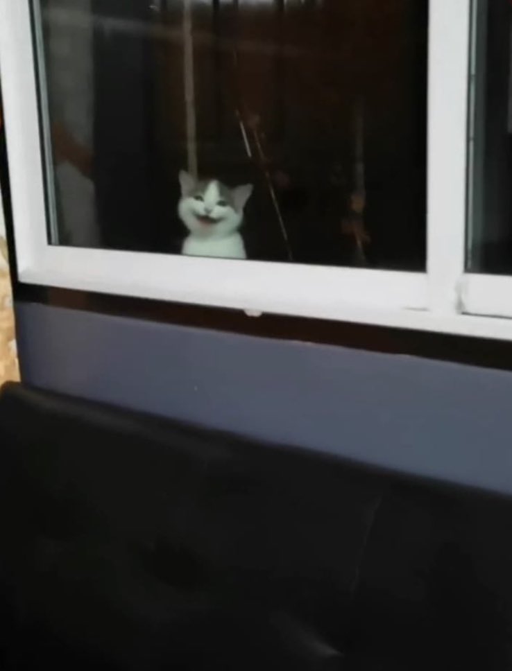 ‎ ‎ ‎ ‎‎‎ ‎ ‎ ‎ ‎ ‎ ‎ ‎‎ 🧸.‎ ‎ ‎ ‎ ‎ ‎ ‎ ‎ ‎ ‎ ‎ (@teethntears) on Twitter photo 