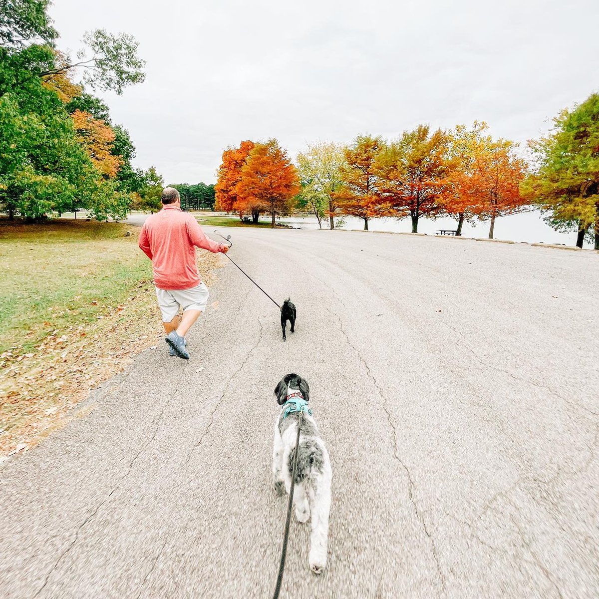 ArkStateParks's tweet photo. Taking an #ArkansasFall walk at Lake Dardanelle State Park 🍂. #ARStateParks

📷 by Beth W.

https://t.co/m2HyvqYWrt https://t.co/6v7yH6bD4O