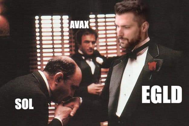 Welcome to the future dear #Solana.

This is #ElrondNetwork #MultiversX