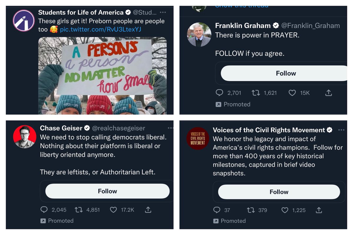 MichelleLockett's tweet photo. So, friends, seems Twitter’s ad targeting is about 25% accurate. 🤦‍♀️ https://t.co/2zoKyi85I7