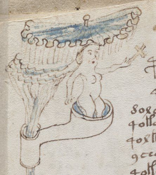 naked women swimming though fantastical tubes and green baths.
-
Many call the fifteenth-century codex, commonly known as the “Voynich Manuscript,” the world’s most mysterious book. Written in an unknown script by an unknown author, the manuscript has no clearer purpose now than when it was rediscovered in 1912 by rare books dealer Wilfrid Voynich. The manuscript appears and disappears throughout history, from the library of the Holy Roman Emperor Rudolf II to a secret sale of books in 1903 by the Society of Jesus in Rome. The book’s language has eluded decipherment, and its elaborate illustrations remain as baffling as they are beautiful. For the first time, this facsimile, complete with elaborate folding sections, allows readers to explore this enigma in all its stunning detail, from its one-of-a-kind “Voynichese” text to its illustrations of otherworldly plants, unfamiliar constellations, and naked women swimming though fantastical tubes and green baths.