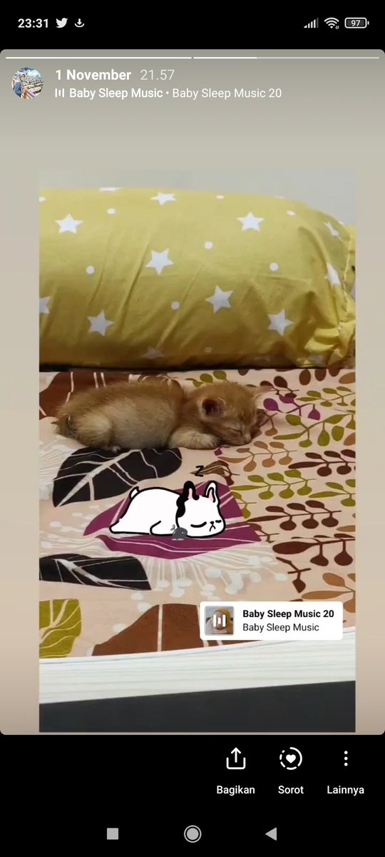 kylestari01's tweet photo. Part (16) 
Rangga... 
Sekarang sudah gak sakit dan dehidrasi lagi ya Nak. 
Allah lebih sayang Rangga. 
Rangga mengajari Mimo bersabar dan empati dgn binatang. 
Mimo sayang Rangga banget banget banget banget,,, berjuta juta kali. 
Dan memberi Hikmah... https://t.co/sP34Cu1oCt