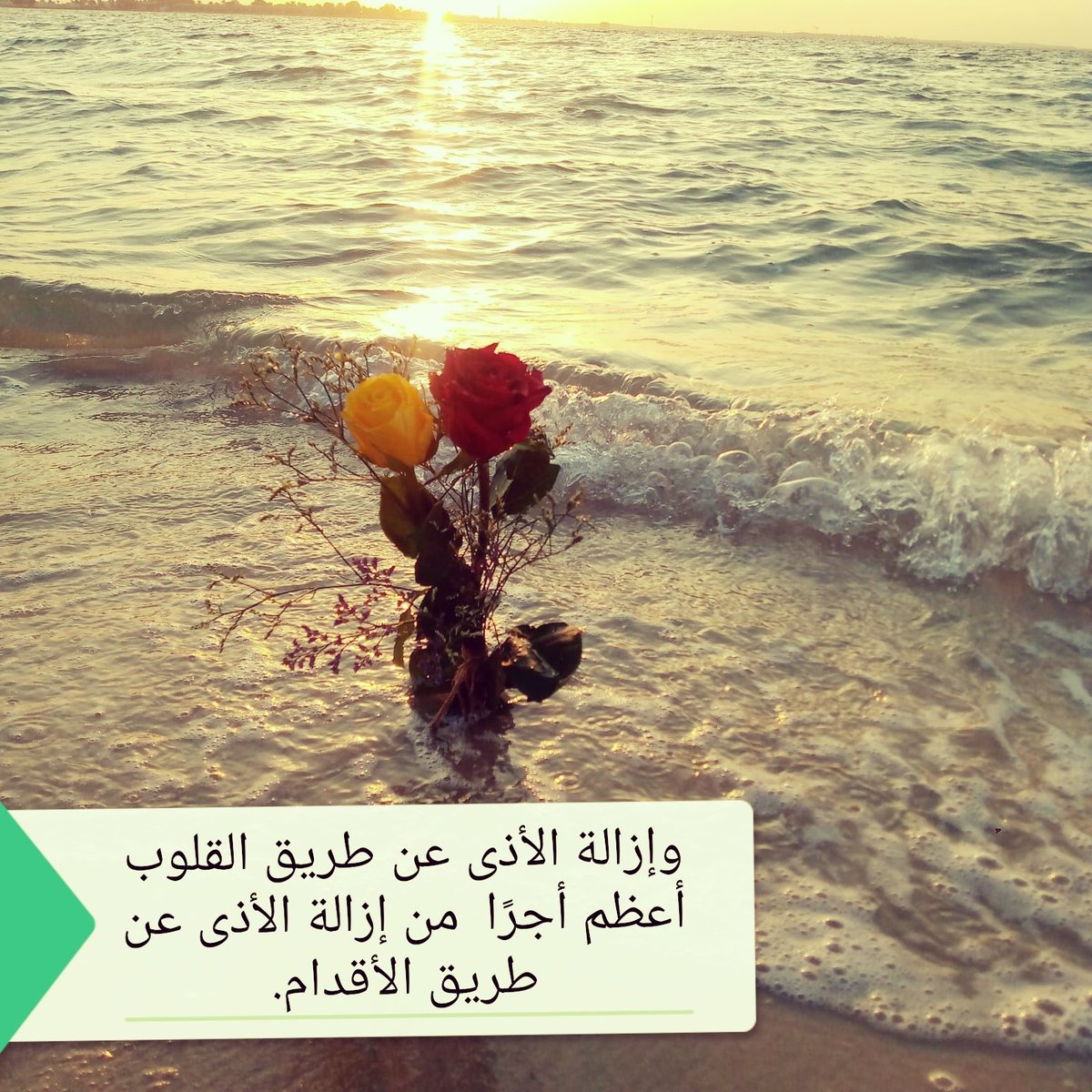 وإزالة الأذى عن طريق القلوب أعظم أجرًا  من إزالة الأذى عن طريق الأقدام.