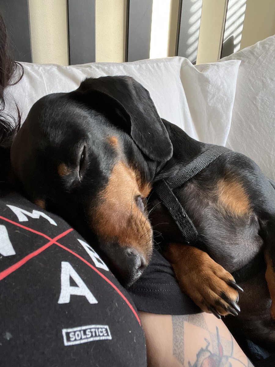 RelFe1's tweet image. 