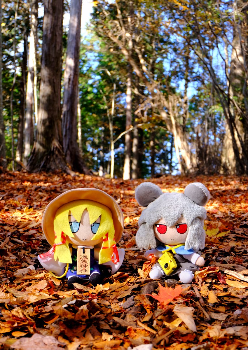 fariwo's tweet photo. Fumos spending the end of autumn.
山の秋はあっという間に去りゆく
設楽町  段戸裏谷原生林  きららの森

　＼落ち葉の絨毯さくさくさく🍁／ https://t.co/EGQG3b6NDy