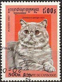 StampsBot's tweet photo. https://t.co/KskZigQkLB