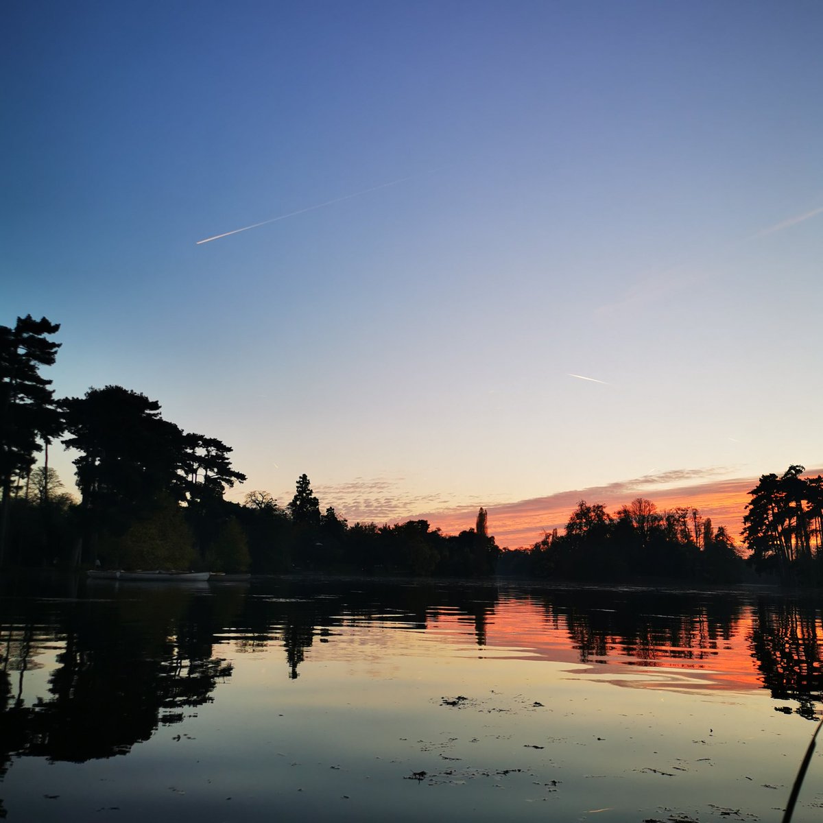 Ivan T (@swoko) on Twitter photo 