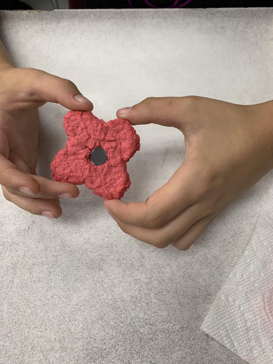 bseigmiller12's tweet photo. Grade 5 students learn about the origin and importance of the poppy this Remembrance Day by making poppies from seed paper. @LopesTara @StKateriLondon @LDCSB_EL https://t.co/huhjmahQmg