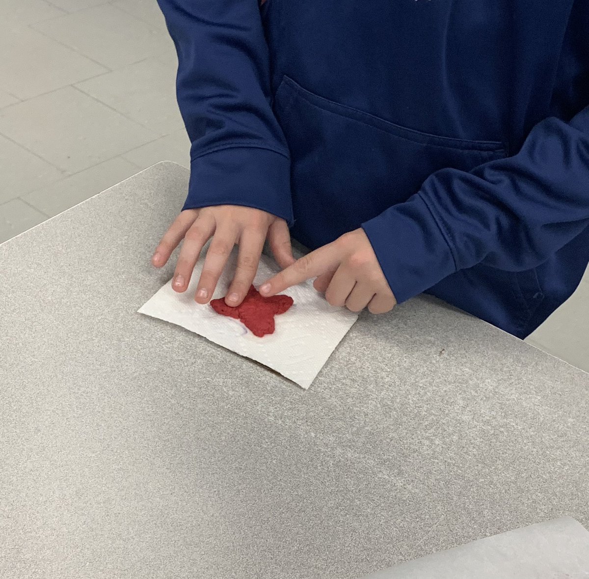 bseigmiller12's tweet photo. Grade 5 students learn about the origin and importance of the poppy this Remembrance Day by making poppies from seed paper. @LopesTara @StKateriLondon @LDCSB_EL https://t.co/huhjmahQmg