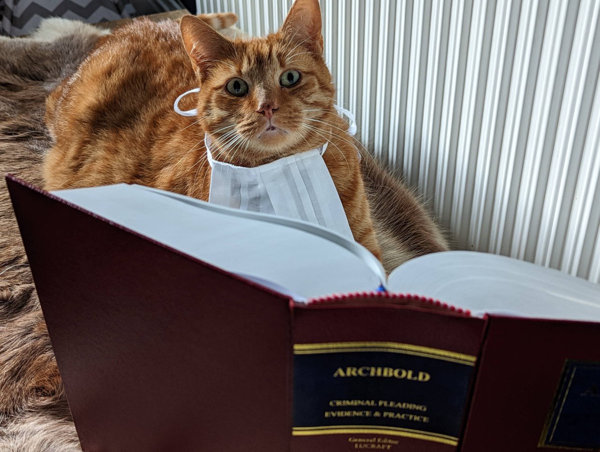 Mack is frankly astonished that you've left ordering this late. The 2023 Law Paw Calendar will make a great Christmas present, AND ensure your year is full of fluffy legal cuteness. Order by tomorrow, or miss out! billablehour.org/calendar/uk202…