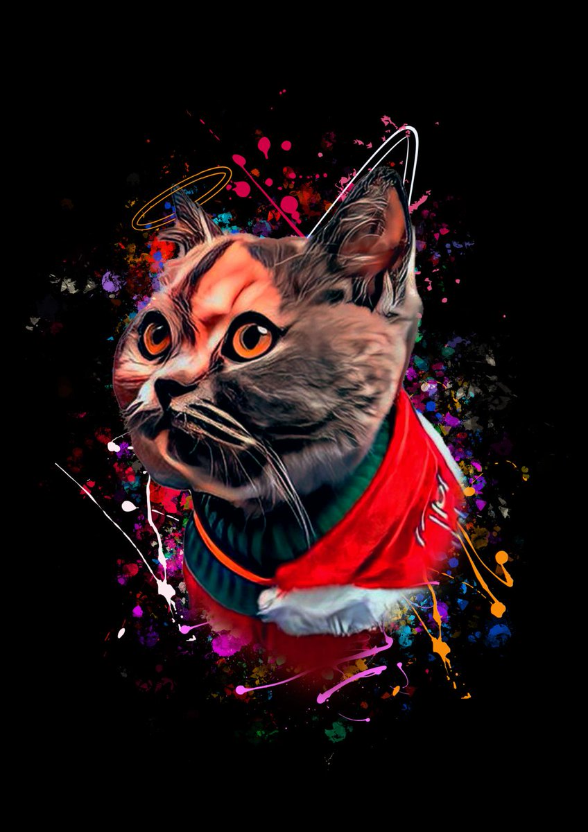 ColorfulPawz's tweet photo. #CatsofTwittter #CatsLover #catsofworld #Caturday #Sunday https://t.co/rXdXmO2gBV