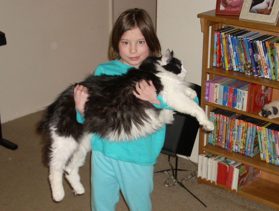 David S. F. Portree tweet media