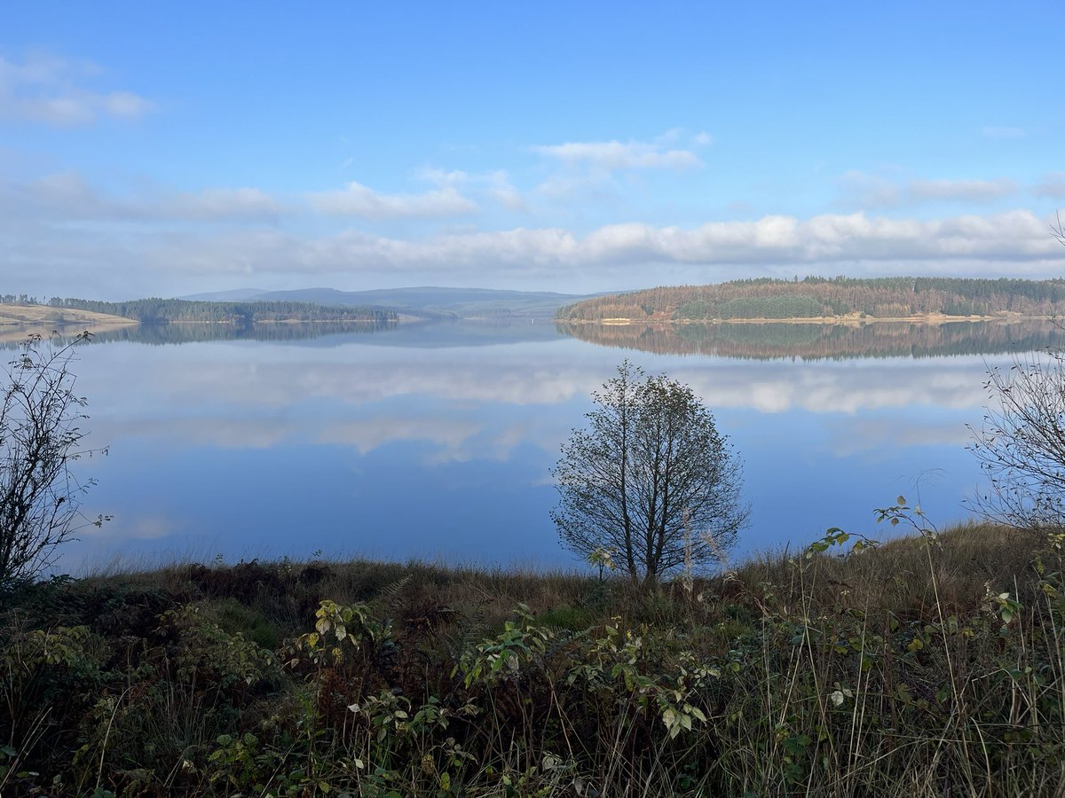 rutty4's tweet image. We are having a lovely week away at Kielder Forest/Water. Walked around Bulls Crag this afternoon and it was glorious. Just waiting for the final couple to arrive for the full set … Half a dozen Howards 🥰