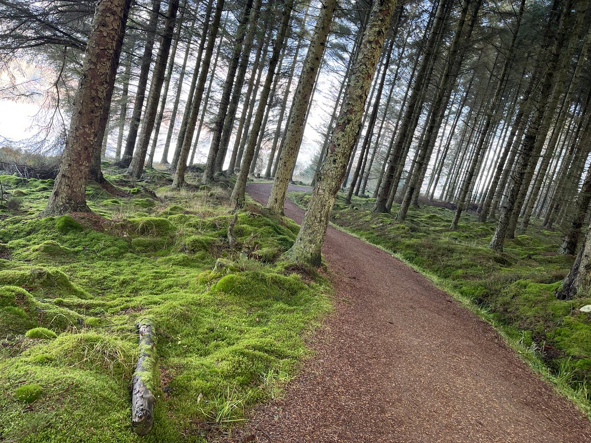 rutty4's tweet image. We are having a lovely week away at Kielder Forest/Water. Walked around Bulls Crag this afternoon and it was glorious. Just waiting for the final couple to arrive for the full set … Half a dozen Howards 🥰